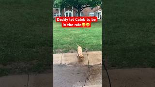 Caleb is having fun in the rain😀😀