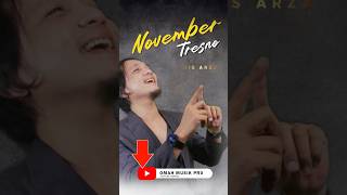 Lagu bulan november #musik #lagu #ytomahmusikpro #aisarza #novembertresno