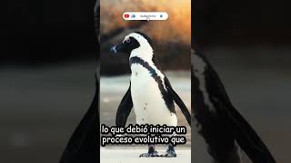 ¿POR QUÉ LOS PINGÜINOS NO VUELAN? #shorts