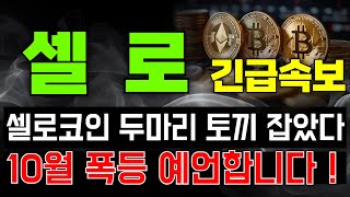 [셀로 CELO 코인전망] 셀로코인 두마리 토끼 잡았다, 10월 폭등 예언합니다 !