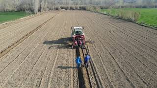 Plantando Almendros Marzo 2021 Ontiñena