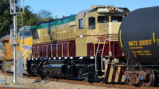 New Napa Valley Wine Train Engine on NS 101 and More on a Saturday in Decatur, AL - 10-07-23