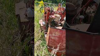 Mobility Loader Big Dipper found in the weeds