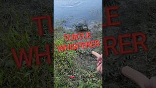 TURTLE WHISPERER  #snappingturtles #3MILLION VIEWS #DANGEROUS