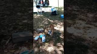 chili on the Nolichucky river