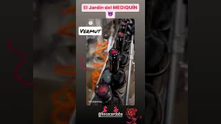 Nueva imagen #Vermut #ElJardínDelMEDIQUÍN y #AtréveteAPecar 😈