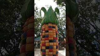 giant sweet corn statue #shorts #trendingshorts