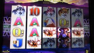 Buffalo Slot Machine Bonus Las Vegas Strip