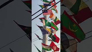 The Arbaeen Flags | Around The World | 🌎 #trending #slowedandreverbnoha #yaali #nadeemsarawar #love