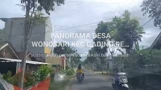 Desa wonosari kecamatan gading rejo kabupsten pringsewu