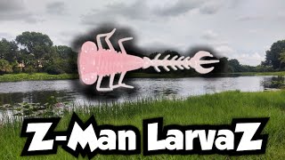 Fishing the Z-Man LarvaZ | Micro Finesse Fishing