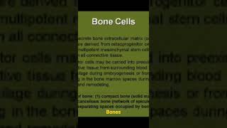 Bones | Chapter#3- Cartilage and Bones Histology