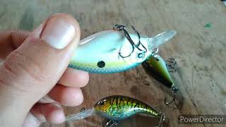 Top five explained: the crankbait