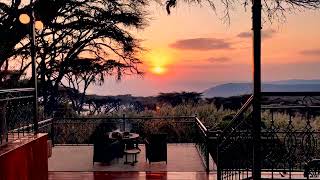 #Safarilodges en Tanzania.Hoteles #Tanzania #Samakisafaris #lionspaw #viajesatanzania #safari #masai