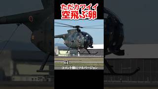 とにかくカワイイ空飛ぶ卵/Cute Flying Egg OH-6