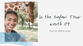 feeding giraffes on a safari at Fossil Rim | Vlog