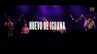 Huevo de Iguana | Amargo y Dulce (Vivo en Distrito Siete)