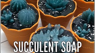 Making Succulent Melt and Pour Soap