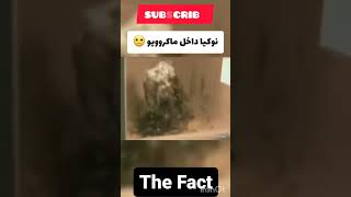 عجیب ترین ویدیو در اینترنت😱📱به نظرتون واقعیه!؟