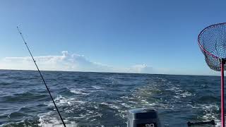 Outside Sydney Heads in the Mustang!