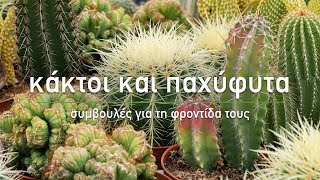 🌵 Κάκτοι και παχύφυτα: Συμβουλές για φύτευση και φροντίδα  - Τα Μυστικά του Κήπου