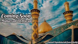 Muharram Ul Haram Status|Coming Soon Muharram Status|Status2023|Sayyed Kaifi Ali Razavi #new #naat