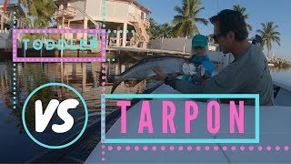 TODDLER VS TARPON?