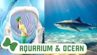 FULL EPISODE | Learning at the Aquarium & Exploring the Beach | Season 1 of Brecky Breck Field Trips