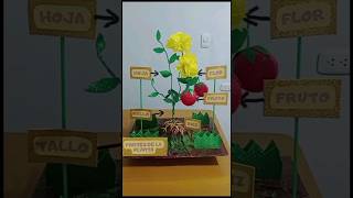 Maqueta realista de las partes de la planta #reciclaje #maqueta #partesdelaplanta