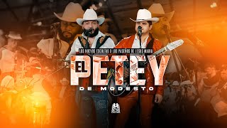 Los Nuevos Escoltas x Los Paseños de Jesus Maria - El Petey De Modesto [En Vivo]