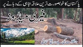 | Fairy Meadows & Nanga Parbat Base Camp, Pakistan| Deforestation |Travelling with Tanoli |