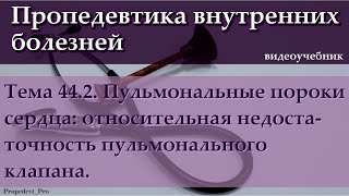 Тема 44.2. Пульмональные пороки сердца: относительная недостаточность пульмонального клапана.