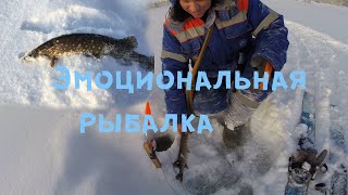 Эмоциональная рыбалка..Ловля щуки на жерлицы../fishing for pike