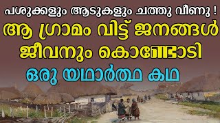 Yellow crazy ants cause chaos in India villages | ഉറുമ്പുകൾ ഒരു ഗ്രാമത്തിനു തന്നെ തലവേദനയായ സംഭവം