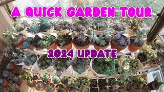 A QUICK GARDEN TOUR 2024 | By Intri's TV