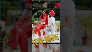 Tere mere rishte nu nazar na lage jaye lokan di🥰🙈 whatsapp status 2021// Relation new status video//