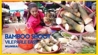 Bamboo shoot