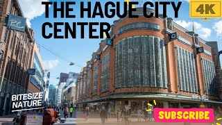 Must visited in Holland #citycenter #thehague #holland #nl #howtoviralvideo #travel #holiday #nature