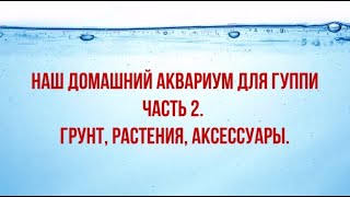 ДОМАШНИЙ АКВАРИУМ ДЛЯ ГУППИ. ЧАСТЬ 2. ГРУНТ, РАСТЕНИЯ, АКСЕССУАРЫ./A HOME AQUARIUM FOR GUPPIES PART2