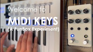 MidiKeys - Keyboard Synth and Multi Effect for Funbox