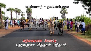 ottapidaram  rekal Race 2018 பெரிய மாடு ஓட்டப்பிடாரம் மாட்டுவண்டி பந்தயம்