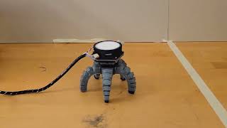 Fungus-controlled biohybrid robots