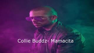 Collie Buddz - Mamacita subtitulado al español