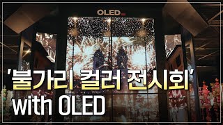 '불가리 컬러 전시회' with OLED [LGD 인사이드]