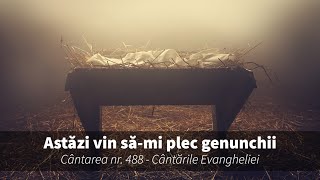 488. Astăzi vin să-mi plec genunchii