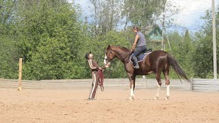 Первый раз. Как проходит первое занятие по верховой езде