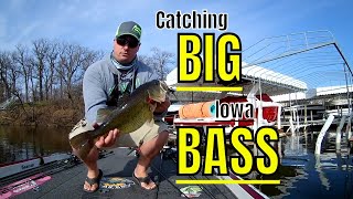 Catching BIG Iowa Bass (Tournament Practice, Day 1)