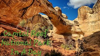 Capital Reef National Park In a Day- Grand Wash, Cassidy Arch, Chimney Rock, Hickman Bridge and More