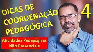 Dicas de Coordenação Pedagógica - Live 4 - Camila Oliveira