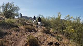 AZ trail riding 2020